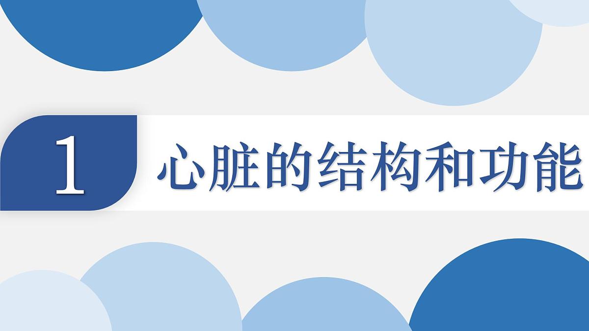 4.4.3+输送血液的泵——心脏 2025学年七年级生物下册人教版 课件第5页