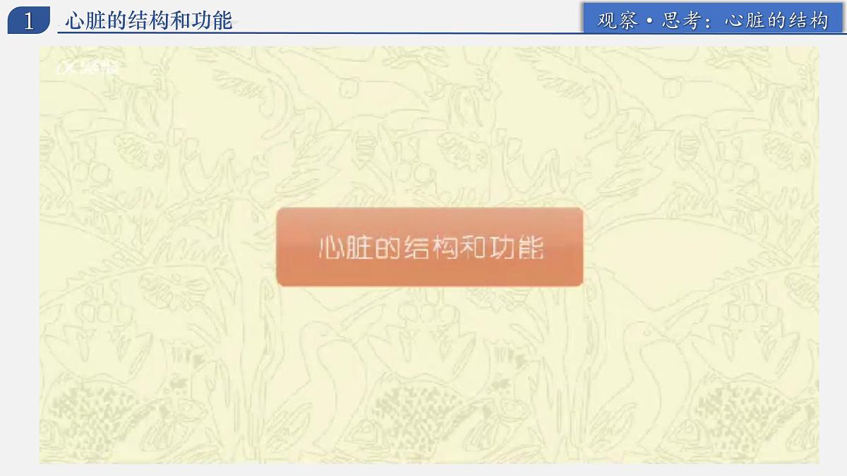 4.4.3+输送血液的泵——心脏 2025学年七年级生物下册人教版 课件第8页