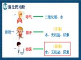 4.9.2+尿的形成與排出（課時1）課件
