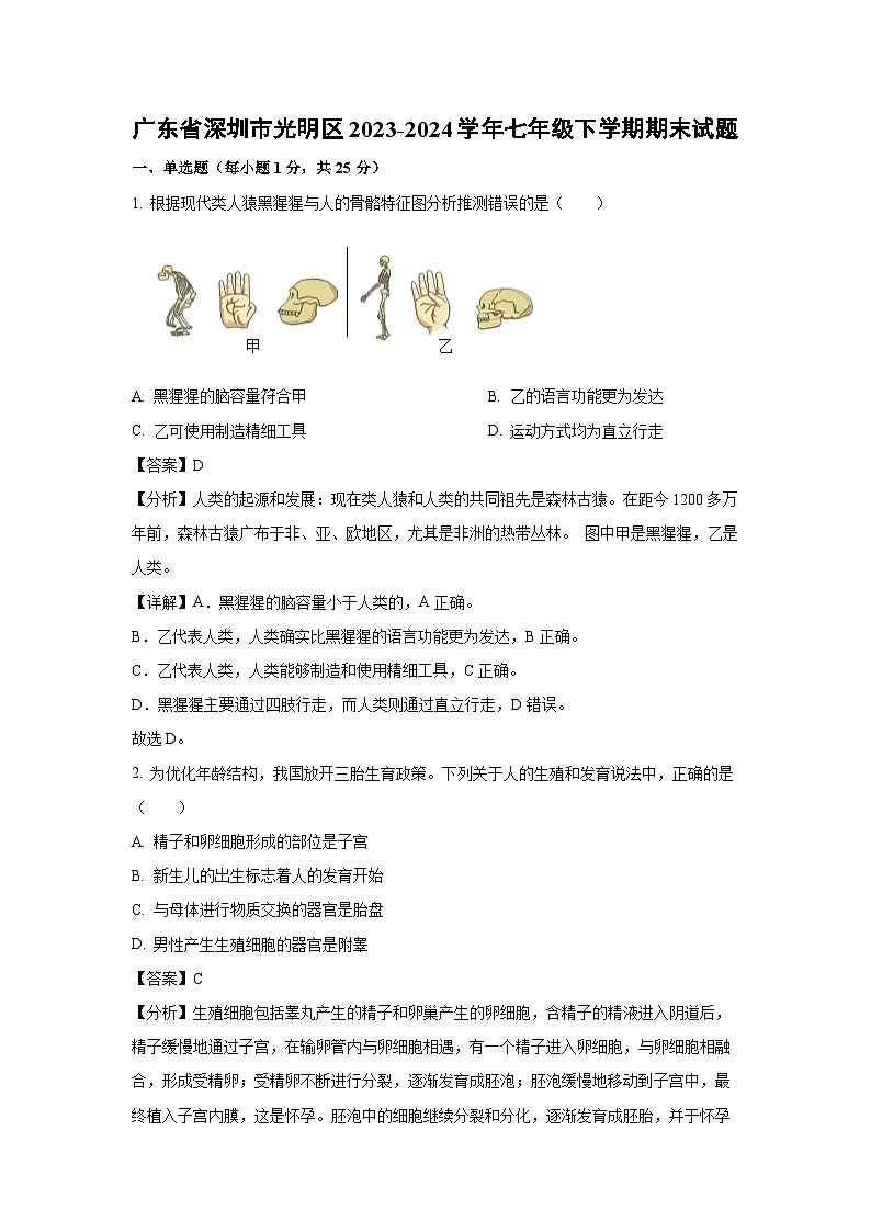 广东省深圳市光明区2023-2024学年七年级下学期期末生物试题（解析版）第1页