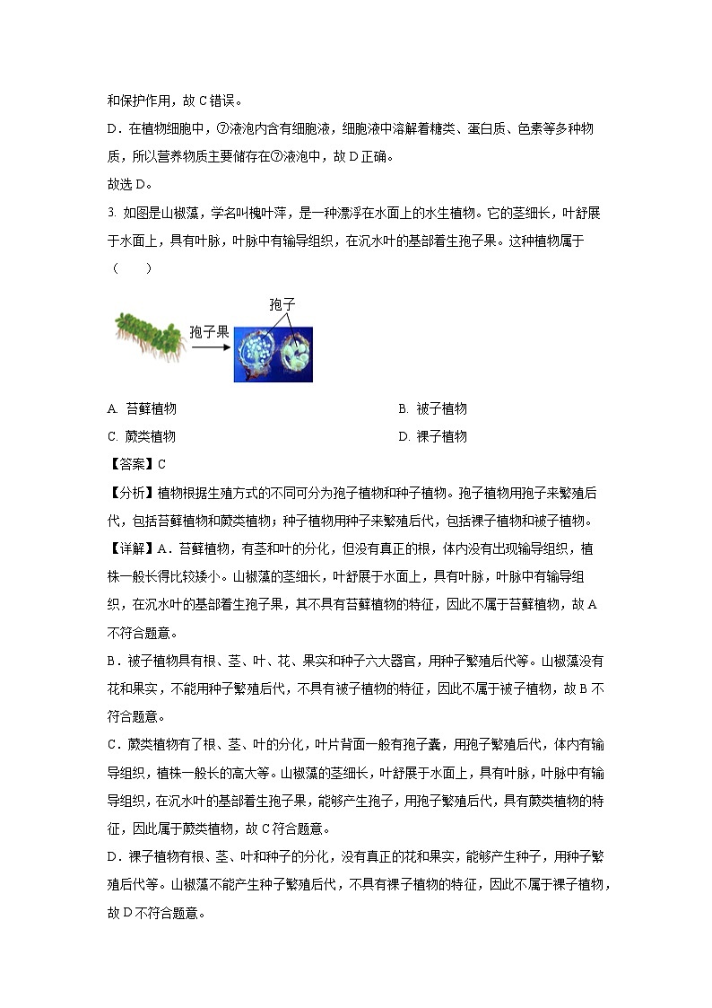 2025年山东省临沂市郯城县中考一模生物试题（解析版）第3页