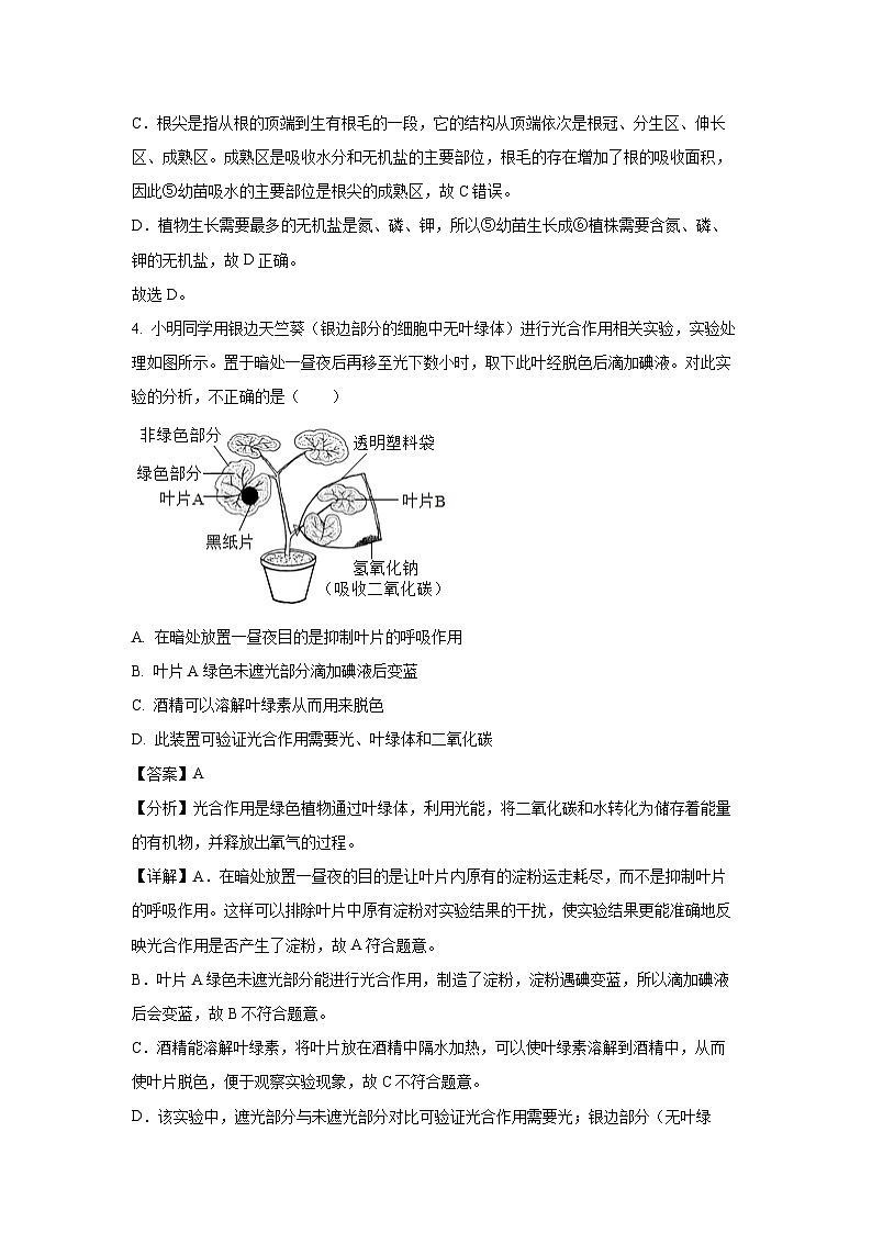 2025年湖南省张家界市永定区中考一模生物试题（解析版）第3页