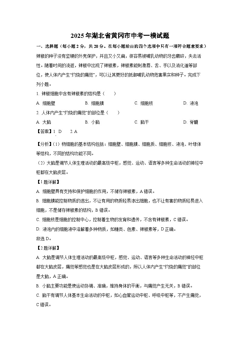 2025年湖北省黄冈市中考一模生物试题（解析版）第1页