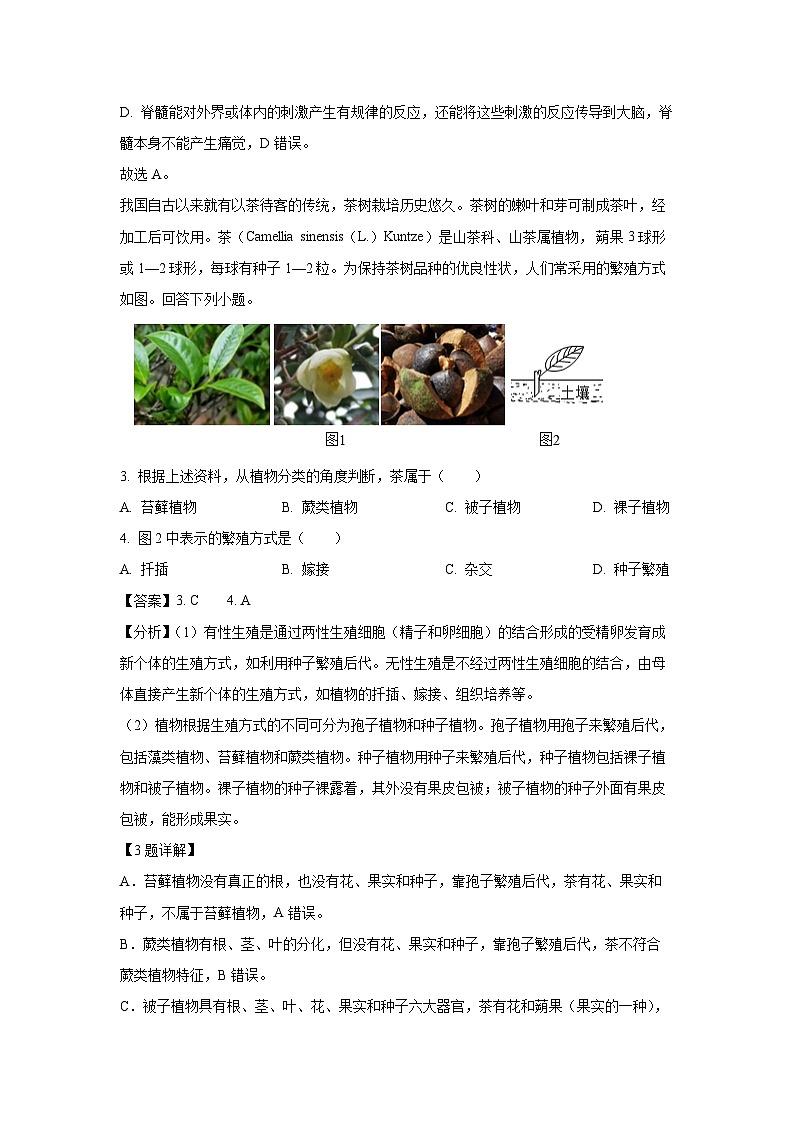 2025年湖北省黄冈市中考一模生物试题（解析版）第2页