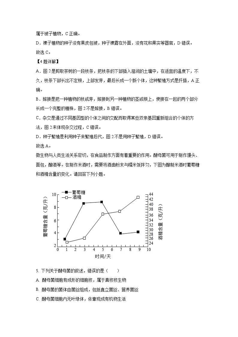 2025年湖北省黄冈市中考一模生物试题（解析版）第3页