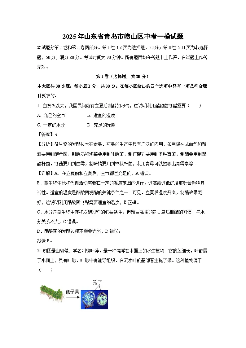 2025年山东省青岛市崂山区中考一模生物试题（解析版）第1页