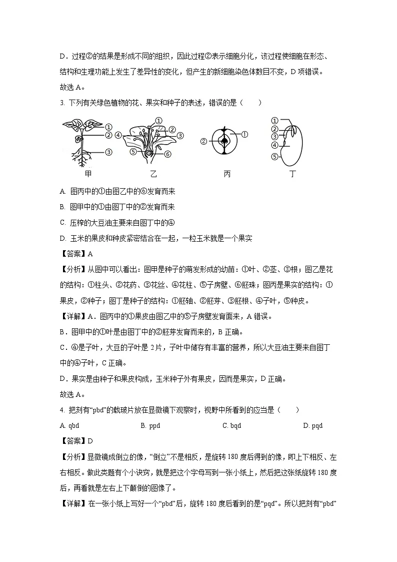 2025年山东省齐河县中考一模生物试题（解析版）第2页