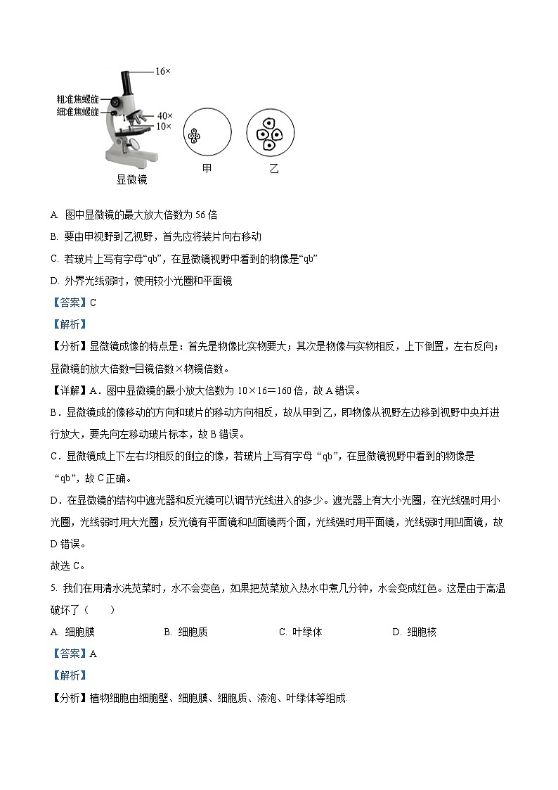 精品解析：2025年江西省九江市八年级中考模拟预测生物试题（解析版）第3页