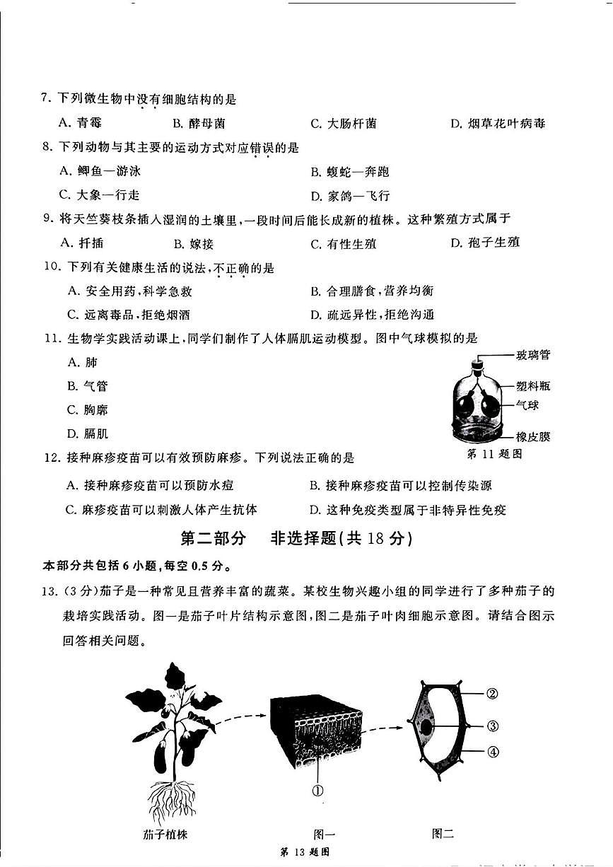 2025年辽宁省大连市八年级中考一模考试生物试题（中考模拟）第2页