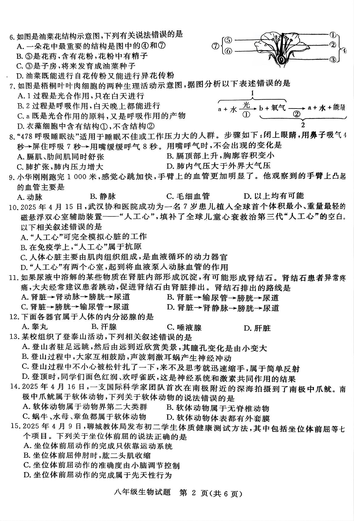 2025年山东省聊城市高唐县中考二模生物试题（中考模拟）第2页