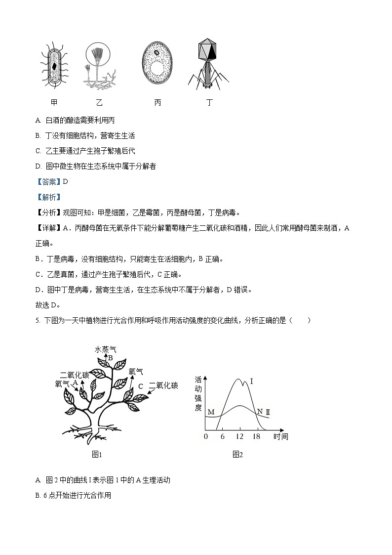 四川省绵阳市北川县2025年八年级中考二模 生物试题（含解析）第3页