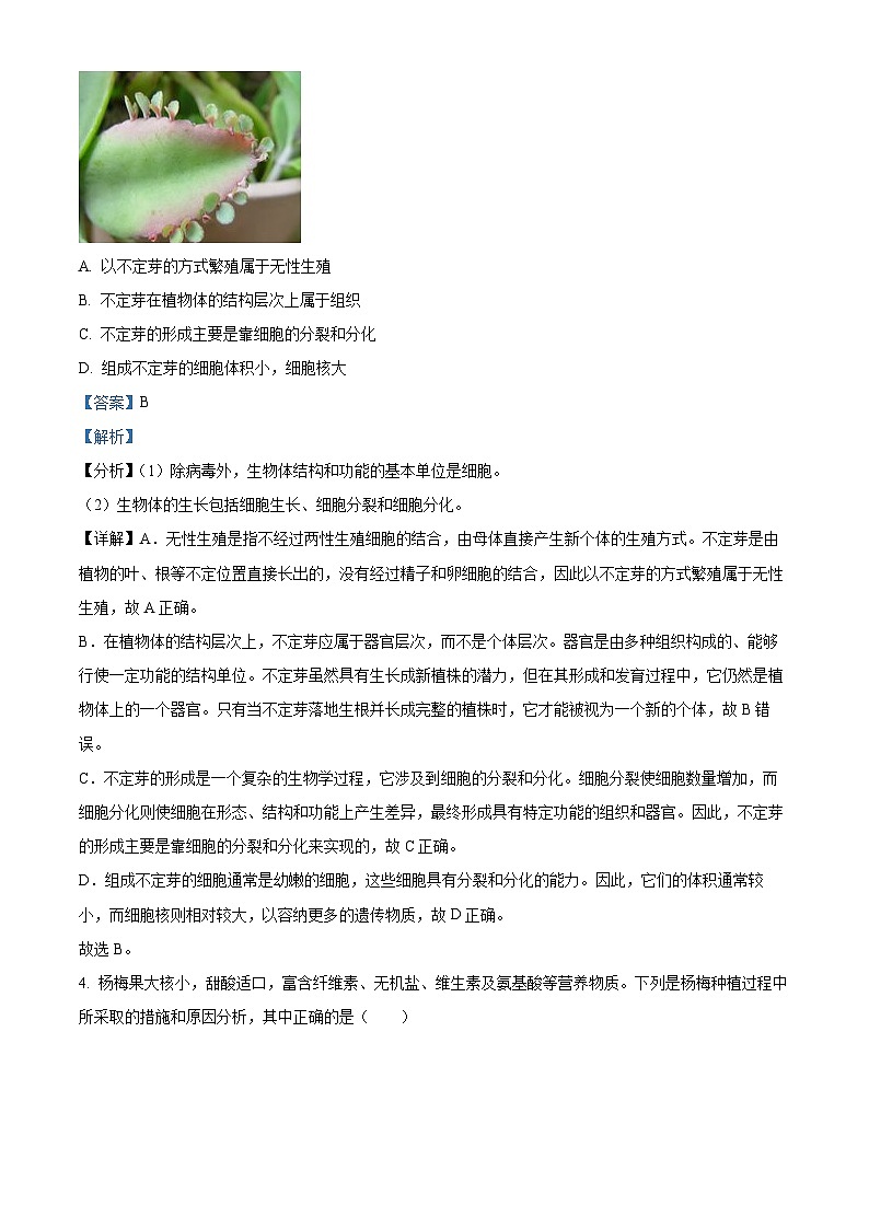 四川省绵阳市梓潼县2025年八年级二模 生物试题（含解析）第2页