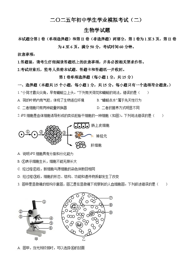 山东省泰安市东平县2025年中考二模 生物试题第1页