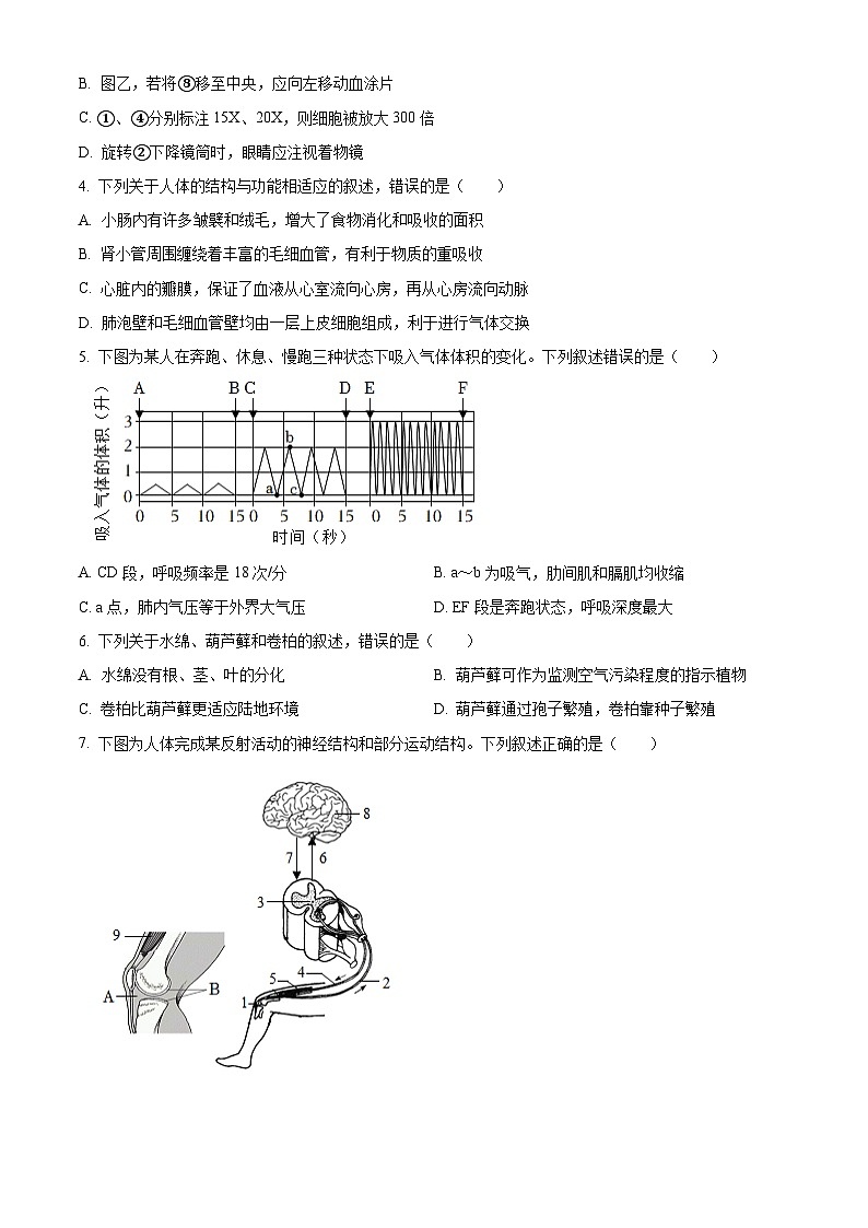 山东省泰安市东平县2025年中考二模 生物试题第2页