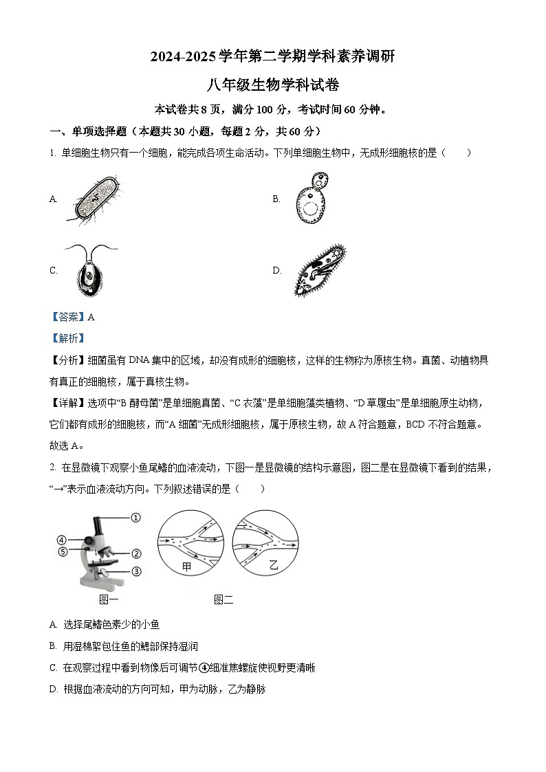 广东省中山市中山纪念中学教育集团2025年八年级中考二模 生物试题（含解析）第1页