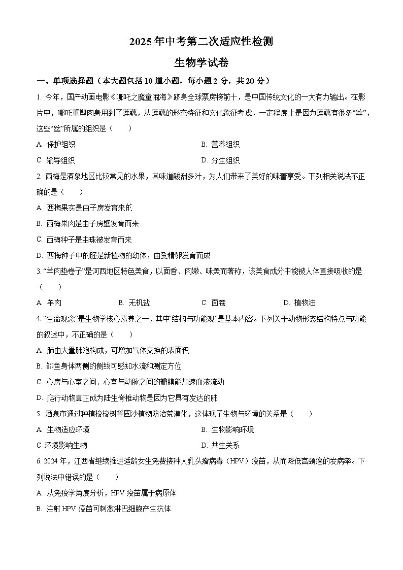 甘肃省酒泉市2025年中考二模 生物试题第1页