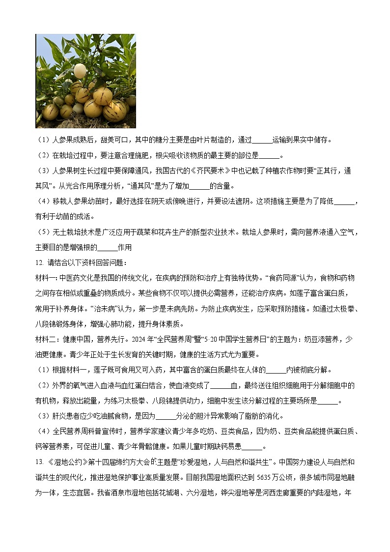 甘肃省酒泉市2025年中考二模 生物试题第3页