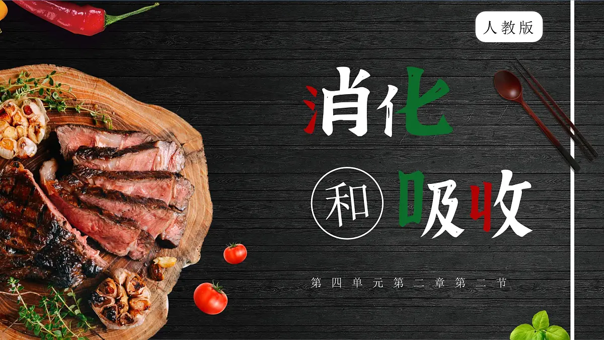 4.2.2消化和吸收+课件-2024--2025学年人教版七年级生物下册第2页