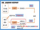 4.2.2消化和吸收+課件-2024--2025學(xué)年人教版七年級生物下冊