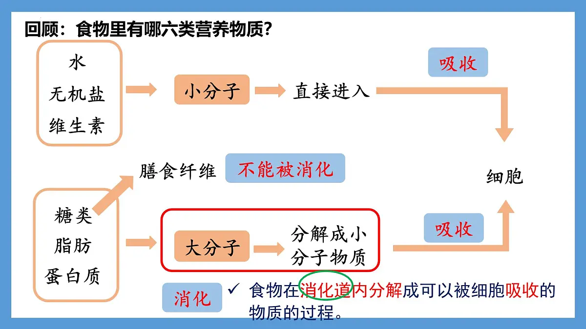 4.2.2消化和吸收+课件-2024--2025学年人教版七年级生物下册第4页