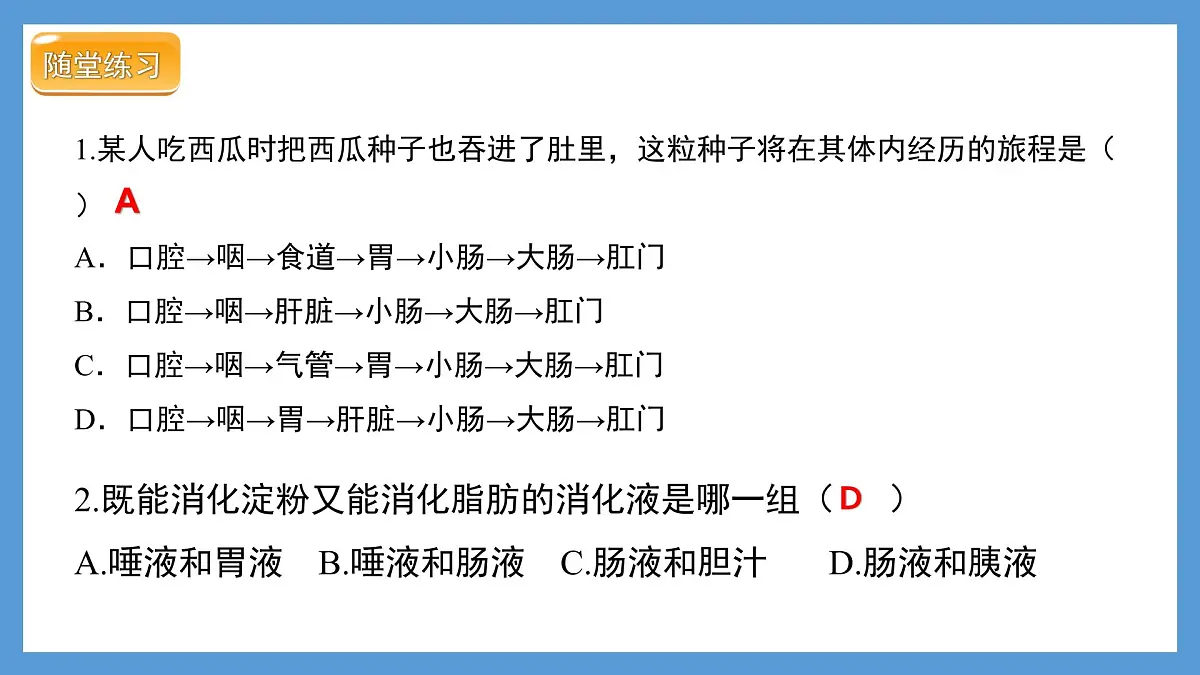 4.2.2消化和吸收+课件-2024--2025学年人教版七年级生物下册第8页
