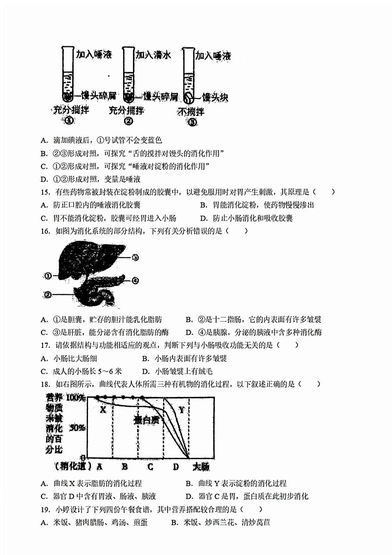 广东省广州市天河区2023-2024 学年七年级下学期生物期中试卷第3页
