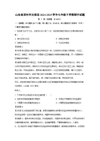 山东省滨州市无棣县2024-2025学年七年级下学期期中生物试卷（解析版）