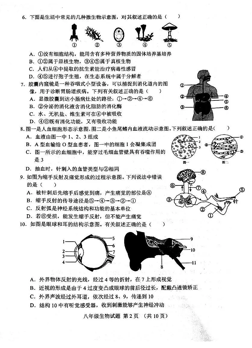 2025年山东省济南市历城区八年级中考二模生物试题（中考模拟）第2页
