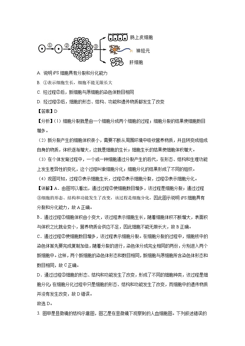 2025年山东省泰安市东平县中考二模生物试卷（解析版）第2页