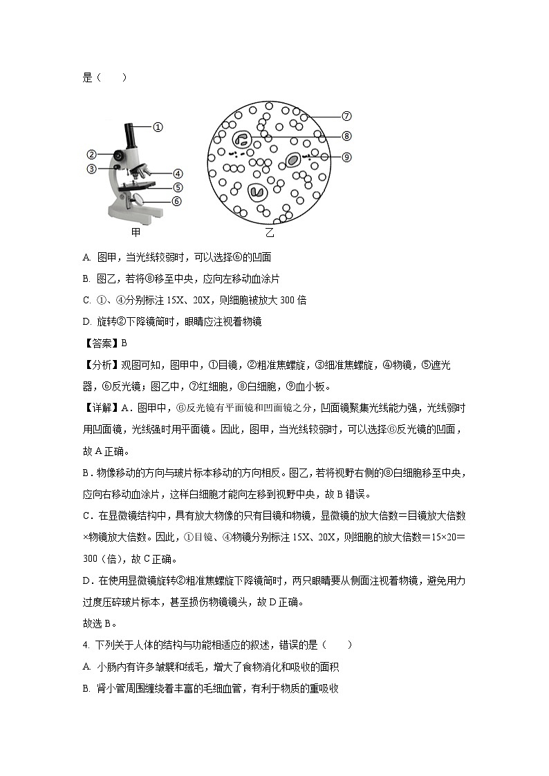 2025年山东省泰安市东平县中考二模生物试卷（解析版）第3页