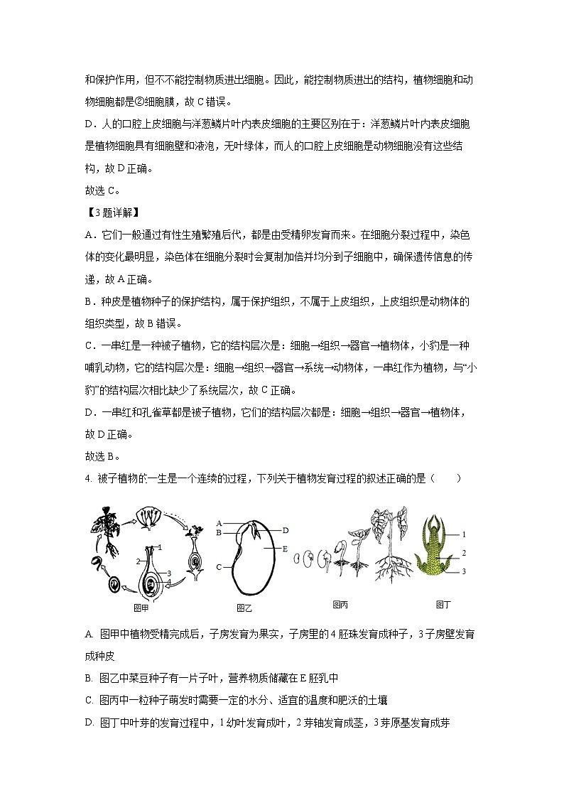 2025年山东省临沂市河东区八年级中考一模生物试卷（解析版）第3页