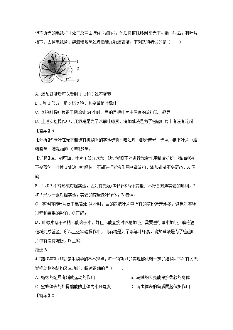 2025年山东省菏泽市东明县中考二模生物试卷（解析版）第3页