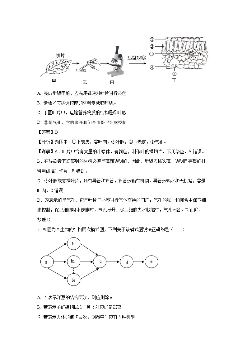 2025年山东省菏泽市成武县九年级中考一模生物试卷（解析版）第2页