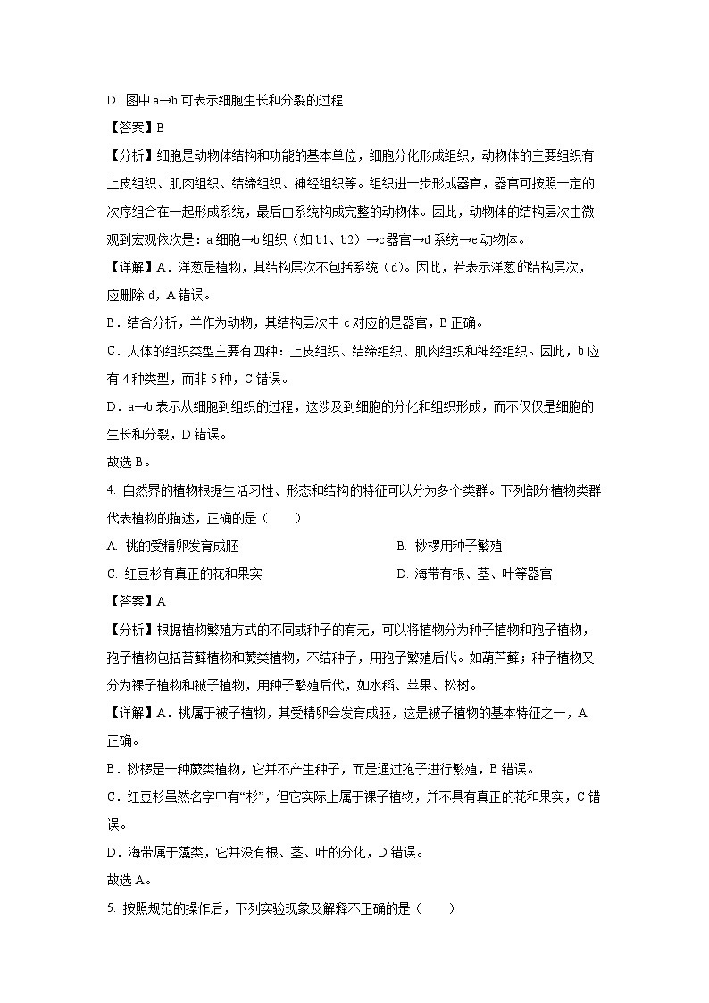 2025年山东省菏泽市成武县九年级中考一模生物试卷（解析版）第3页