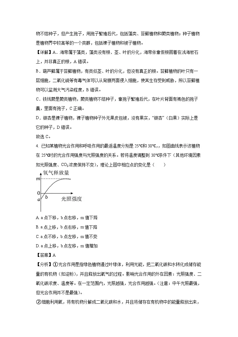2025年山东省菏泽市曹县九年级二模生物试卷（解析版）第3页