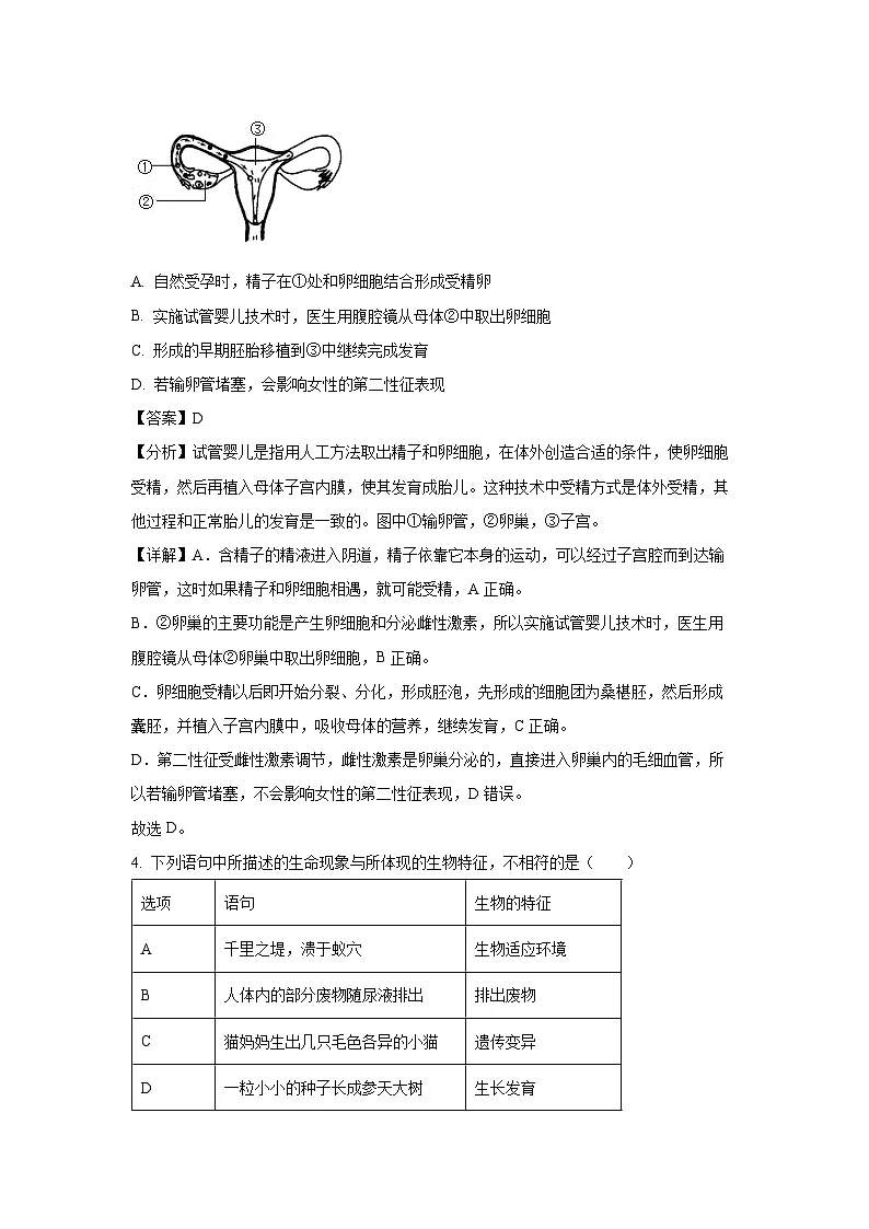 2025年山东省东营市利津县八年级中考一模生物试卷（解析版）第3页