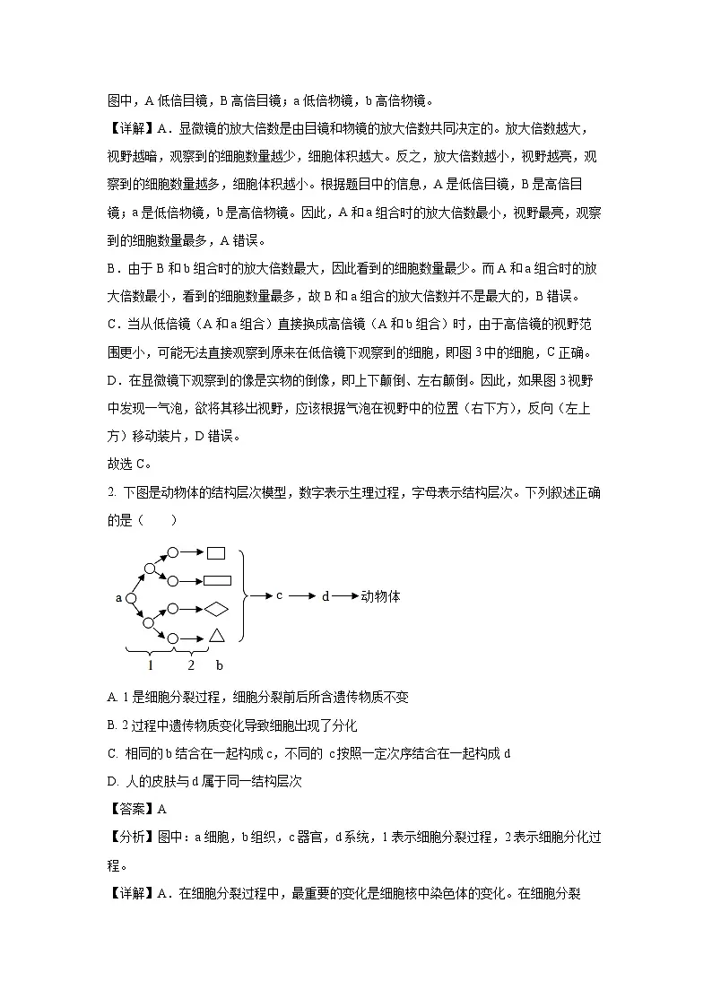 2025年山东省滨州市阳信县八年级中考一模生物试卷（解析版）第2页