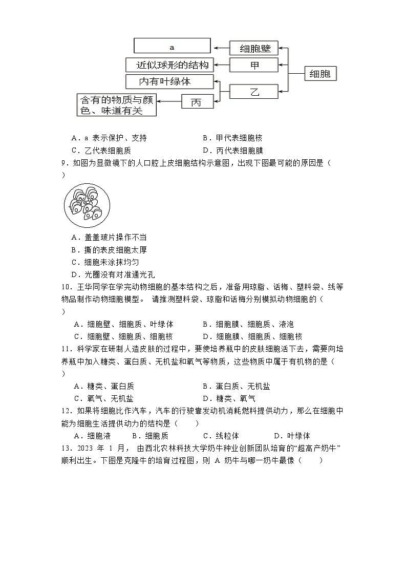 四川省泸州市龙马潭区五校联考2024-2025学年七年级上学期期中 生物学试题第2页