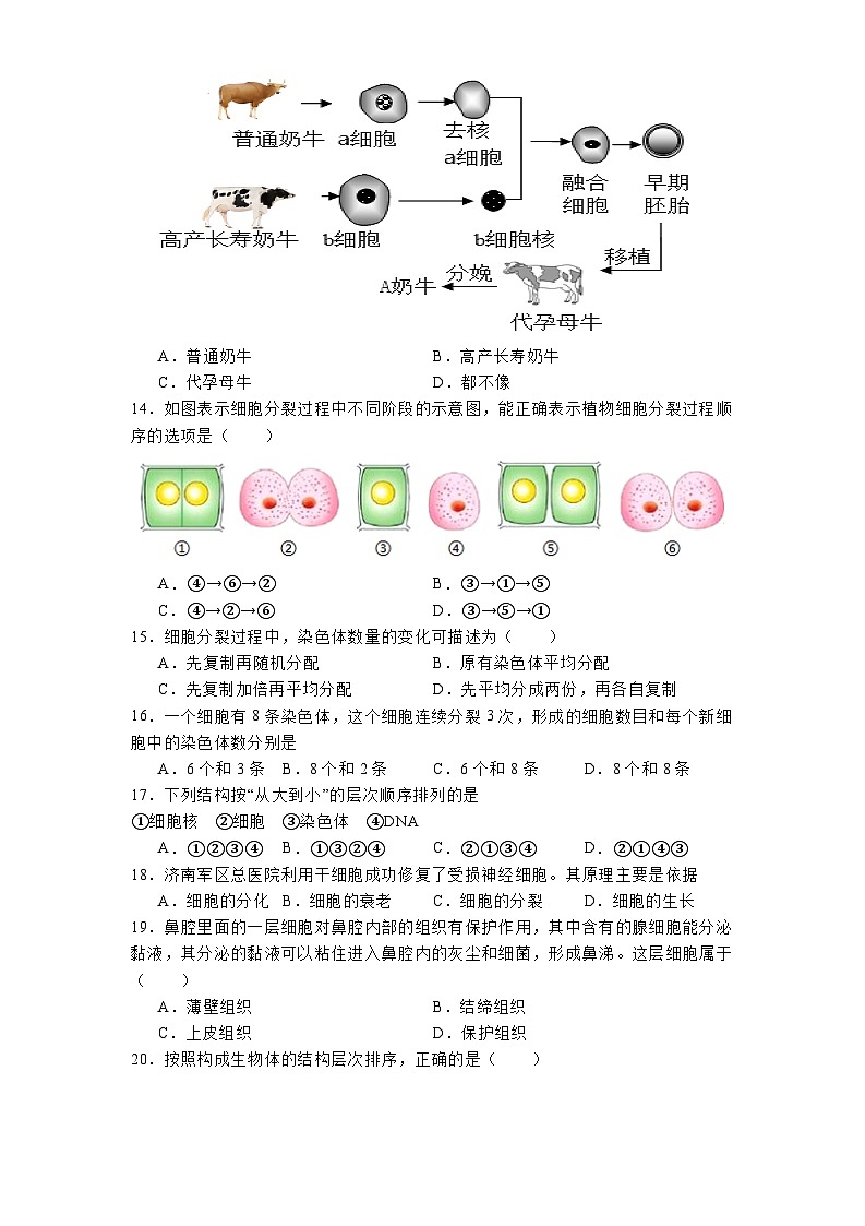 四川省泸州市龙马潭区五校联考2024-2025学年七年级上学期期中 生物学试题第3页