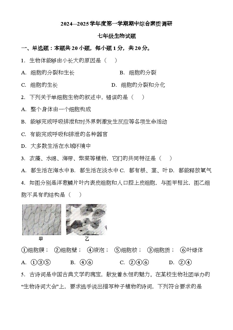 安徽省安庆市2024-2025学年七年级上学期期中 生物试题第1页