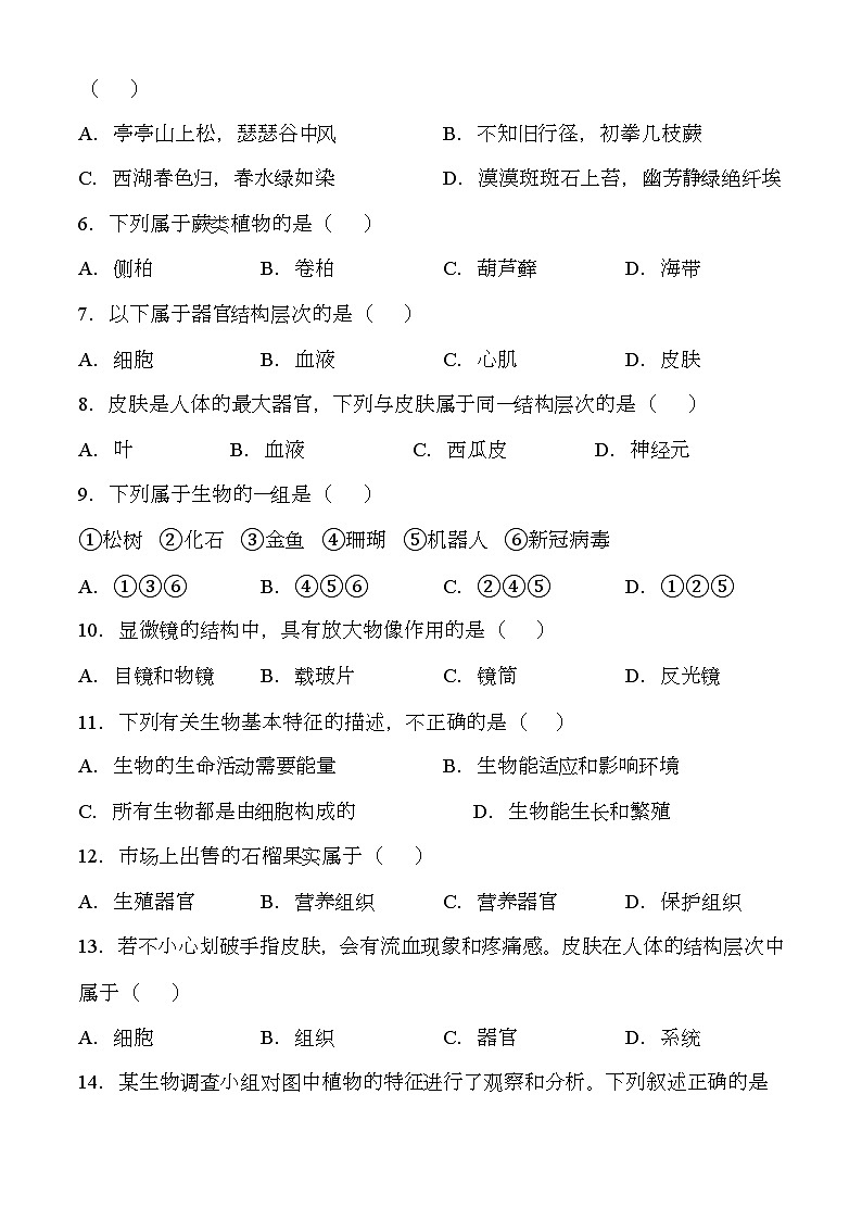 安徽省安庆市2024-2025学年七年级上学期期中 生物试题第2页