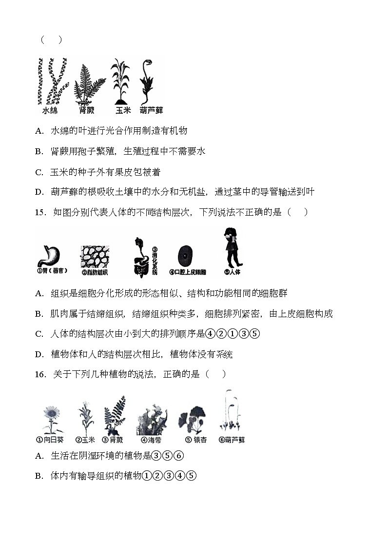 安徽省安庆市2024-2025学年七年级上学期期中 生物试题第3页