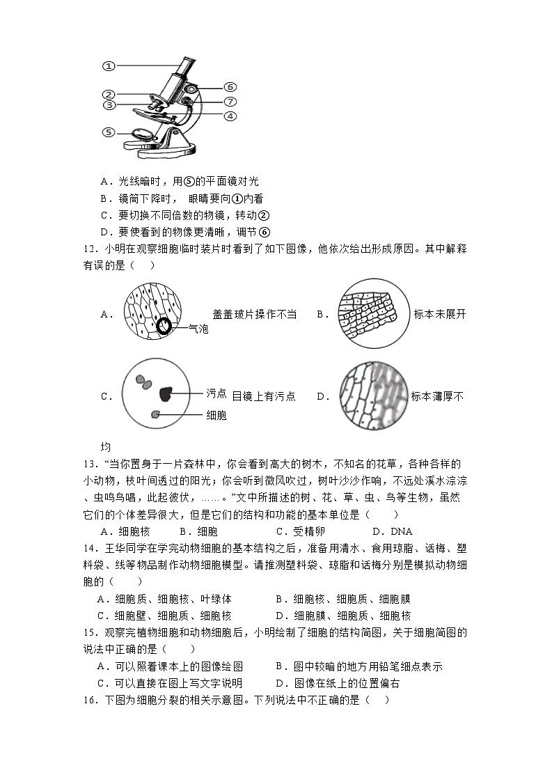 山东省曲阜市2024-2025学年七年级上学期期中 生物学试题第3页