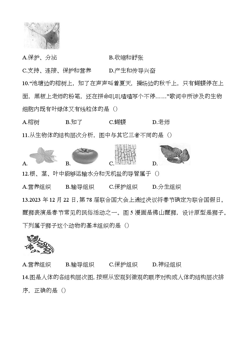 广西壮族自治区河池市凤山县2024-2025学年七年级上学期期中 生物学试题第3页