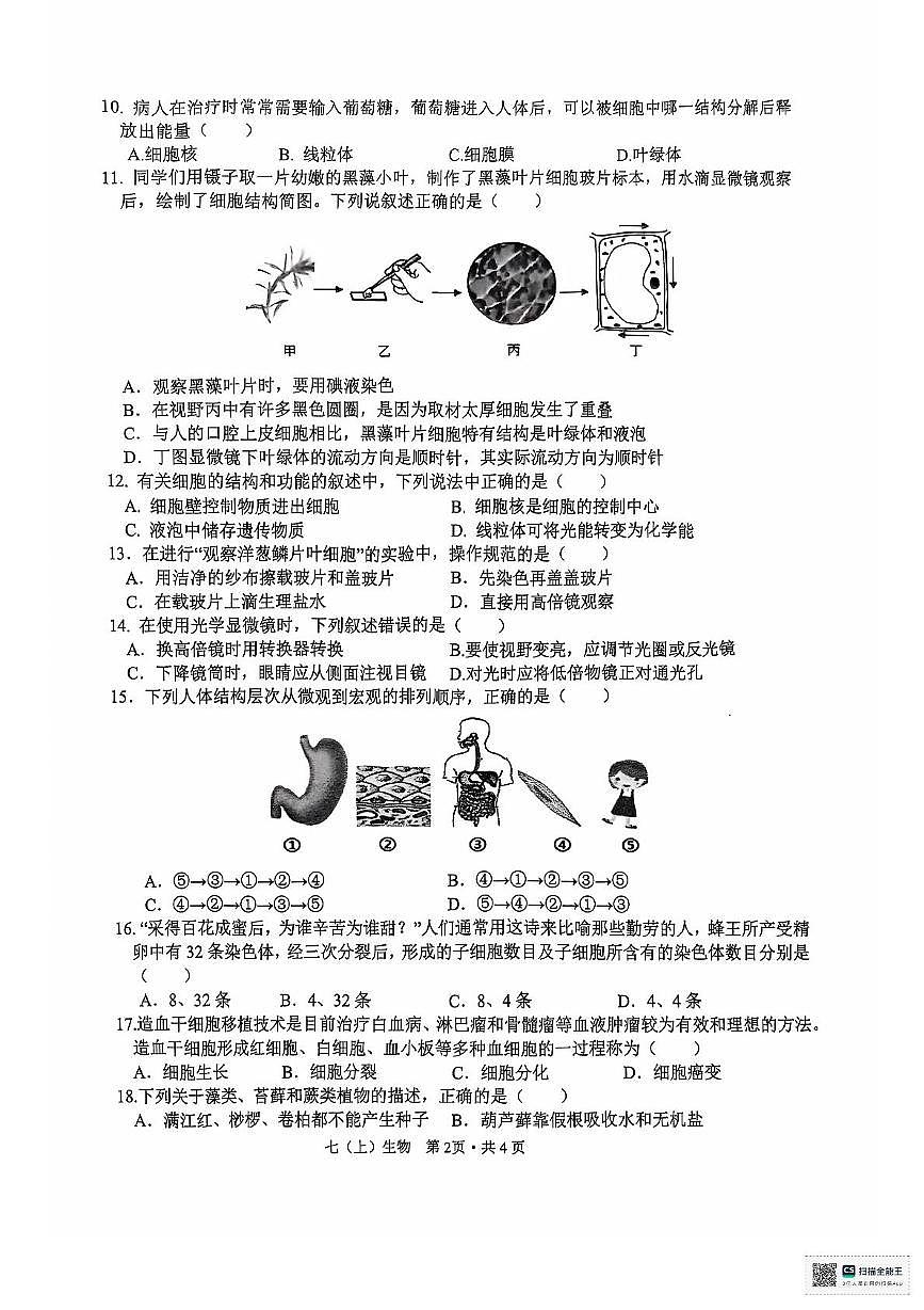 江西省吉安市2024-2025学年七年级上学期11月期中 生物试题第2页