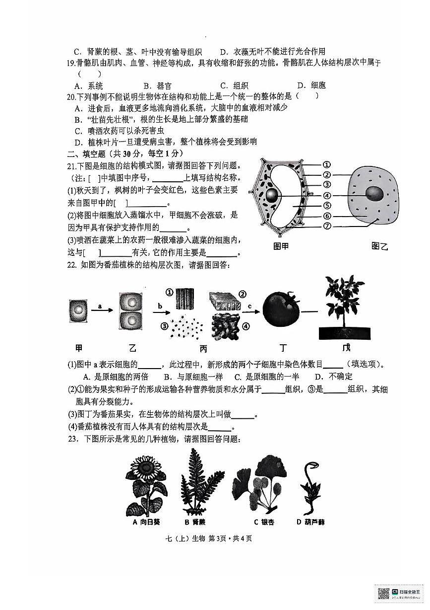江西省吉安市2024-2025学年七年级上学期11月期中 生物试题第3页