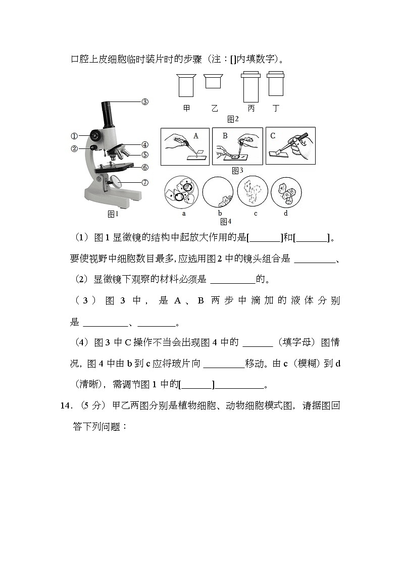辽宁省铁岭市2023-2024学年七年级上学期期中 生物试卷（含解析）第3页