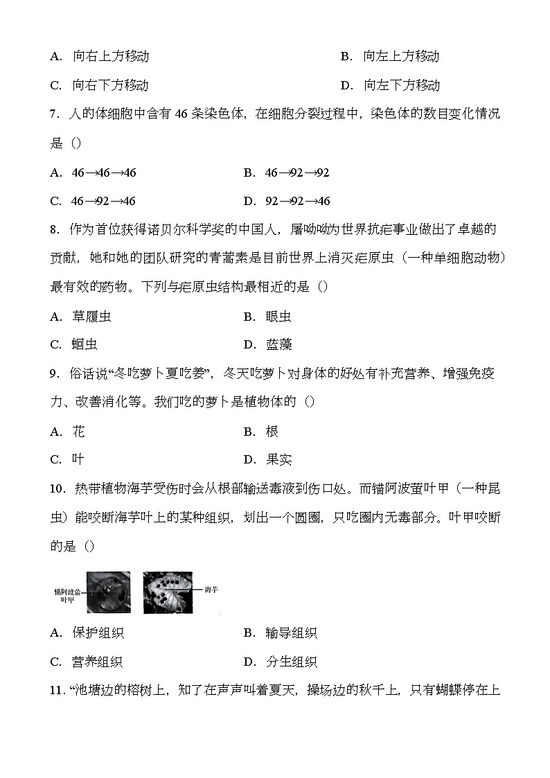 辽宁省铁岭市部分学校2024-2025学年七年级上学期期中 生物试题第2页