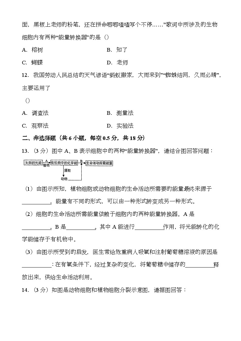 辽宁省铁岭市部分学校2024-2025学年七年级上学期期中 生物试题第3页