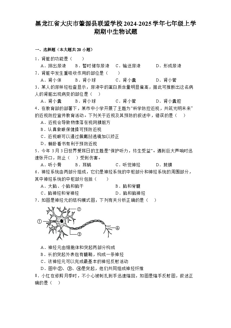 黑龙江省大庆市肇源县联盟学校2024-2025学年七年级上学期期中 生物试题第1页